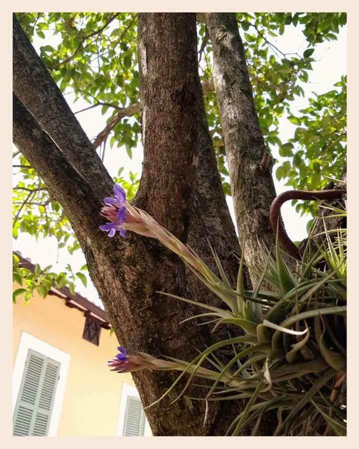 Agriturismo Monte Cologna 福利尼奥 外观 照片